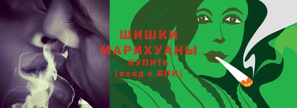 дмт Верея