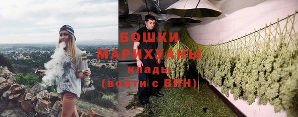 амф Горнозаводск