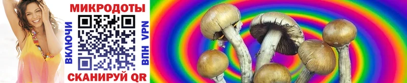 Галлюциногенные грибы Magic Shrooms  Купить где  Кувшиново 